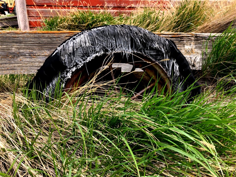 2021/365/151 This May Need More than a Tire Pump