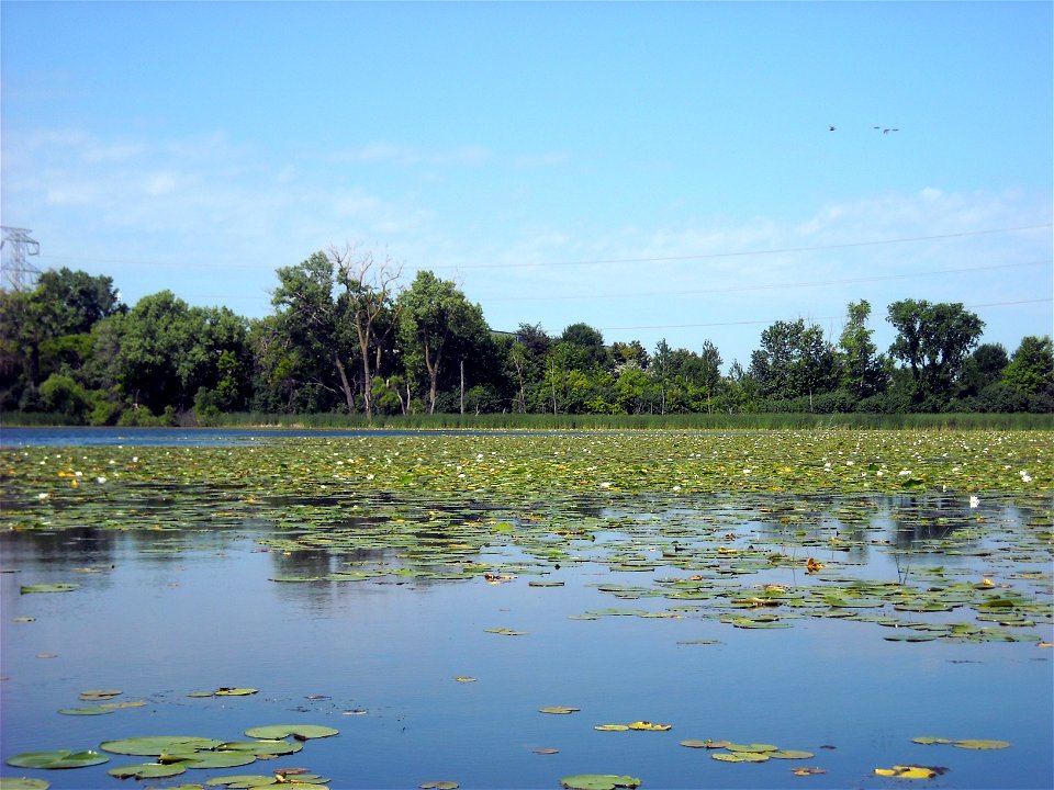 Round Lake photo