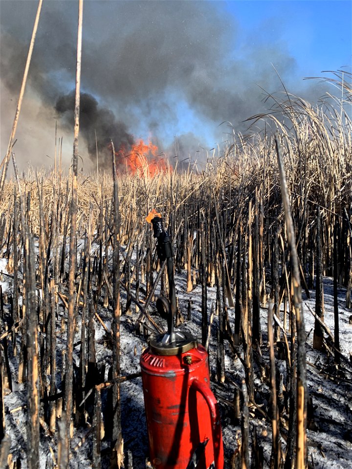 2021 USFWS Fire Employee Photo Contest Category: Fuels Management