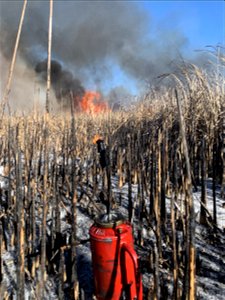 2021 USFWS Fire Employee Photo Contest Category: Fuels Management photo