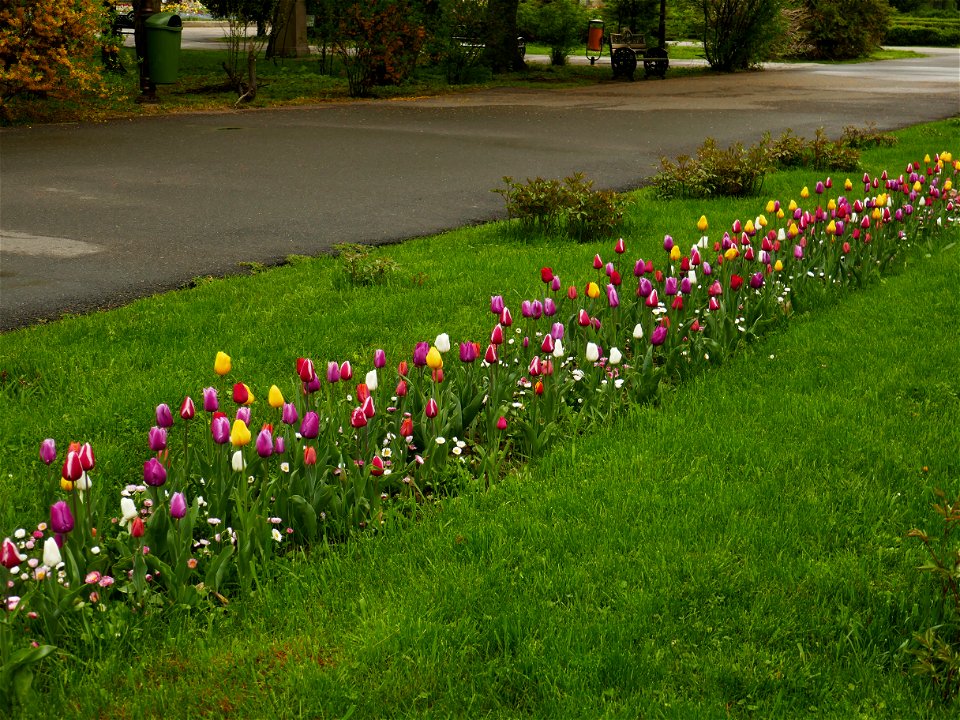 Herestrau Park in spring (47)