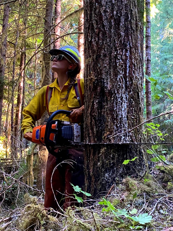 Cedar Creek Fire, Sawyer