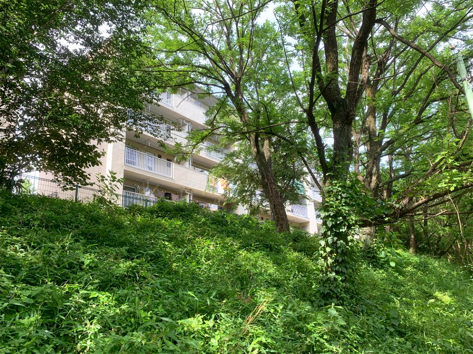 Shimosato in Higashikurume-shi