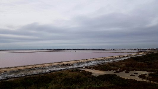 Les marais salants de Salins-de-Giraud