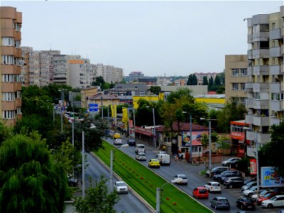 DSCF7881