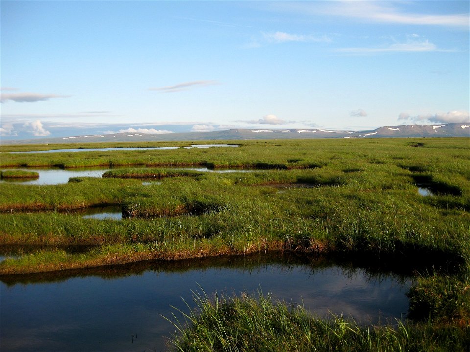Ponds as far as the eye can see