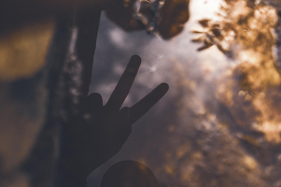 Peace gestural sign