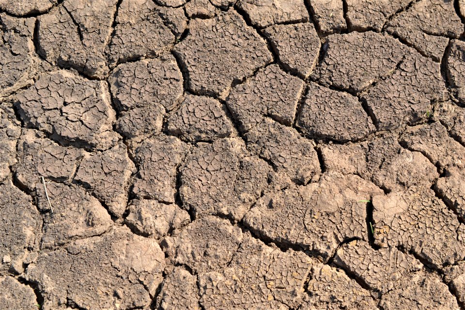 Free textures with cracks