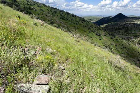 Near Las Animas Creek