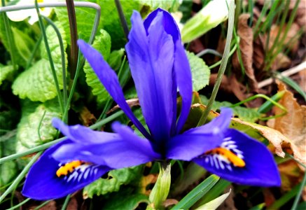 IMG_20210313_123956