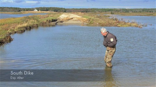 Forsythe NWR Damage Assessment and Monitoring