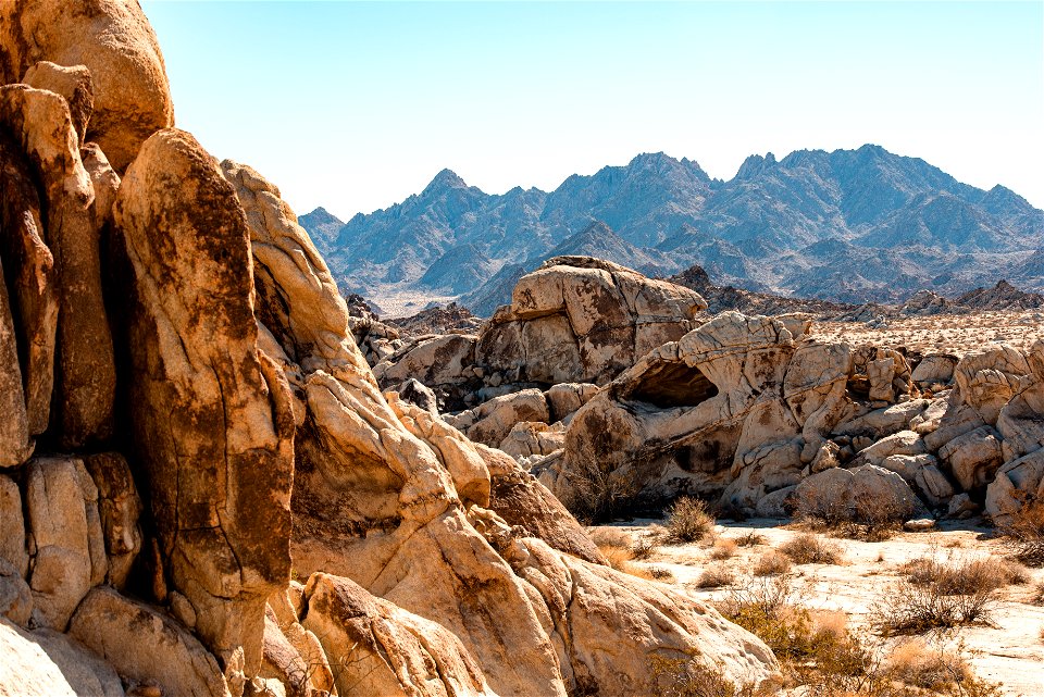 Boulder field and Coxcomb Mountains