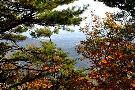 Deoksungsan Mountain