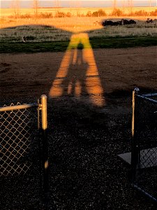 2022/365/131 Beam of Alien Light?