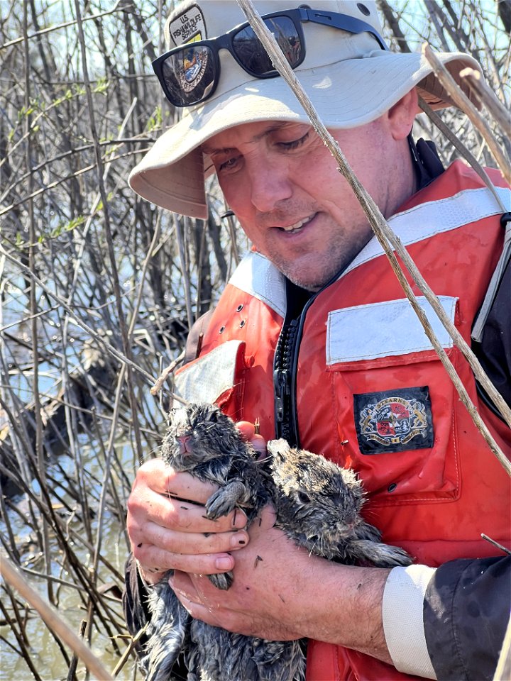 Flood rescue efforts