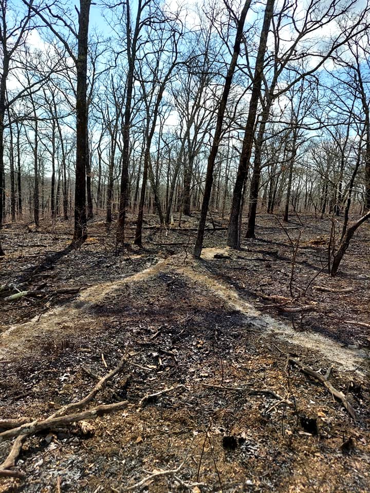 Post-Fire Category - USFWS 2022 Photo/Video Contest