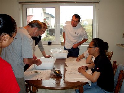 Sea grass sampling at Izembek2