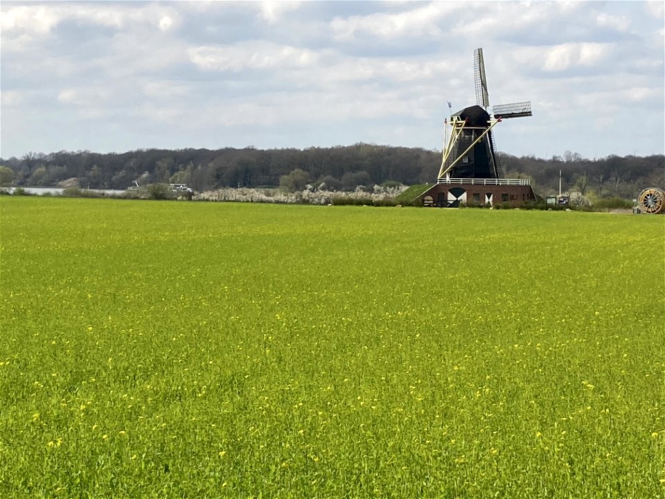 groen geel landschap