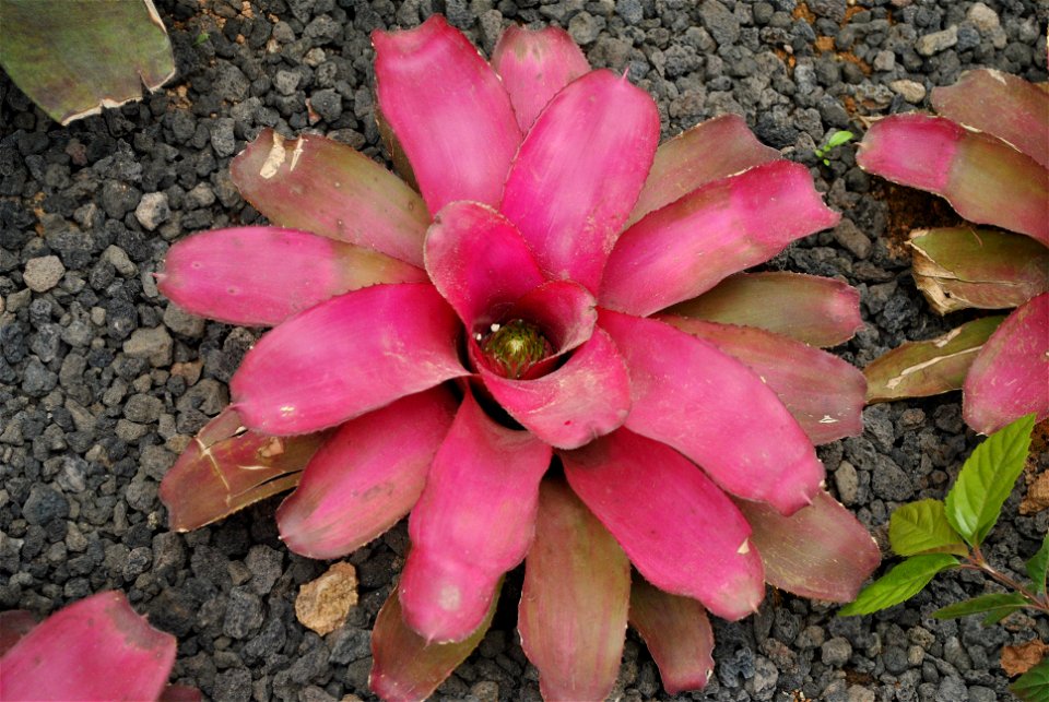 Suncheonman Bay National Garden Expo