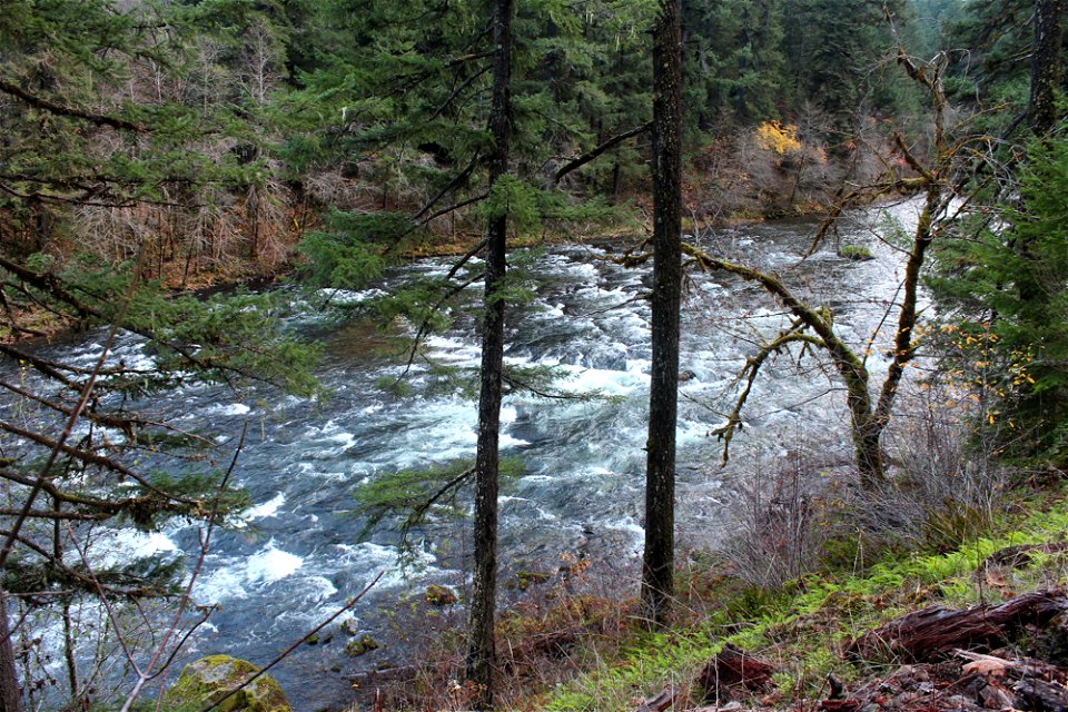 img_2248_view-of-nu-river-from-trail13jpg_49364048018_o