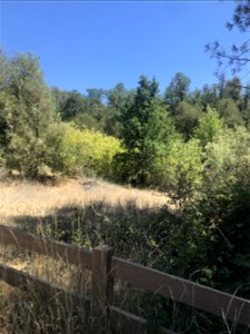 IMG_7027_DMNA_RehabAreaView_Tomich