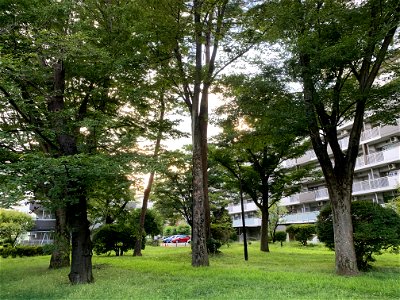 Hibarigaokadanchi in Higashikurume-shi