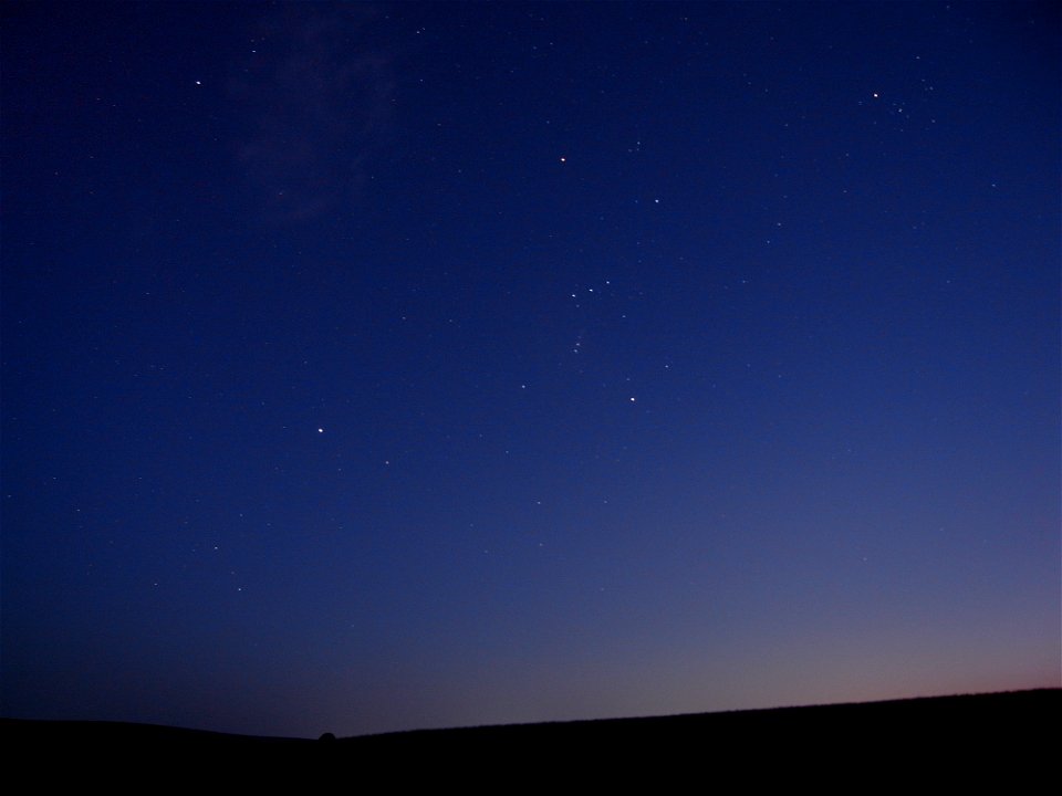 Night Sky, Orion ( The Warrior ), Evil Combe, Dartmoor National Park, Devon, UK . 23rd March 2022