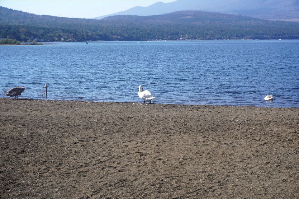 Lake Yamanaka photo