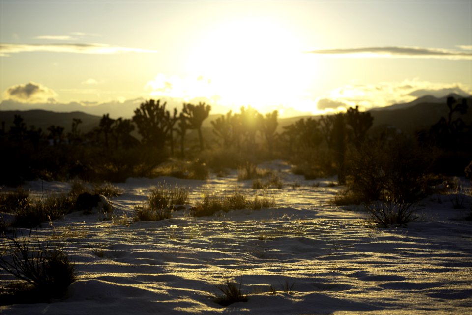 Snow reflecting the setting sun near Barker Dam