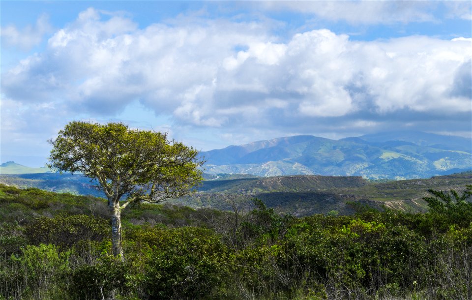 Fort Ord photo