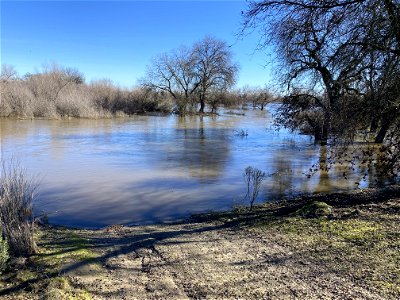 Flooded habitat