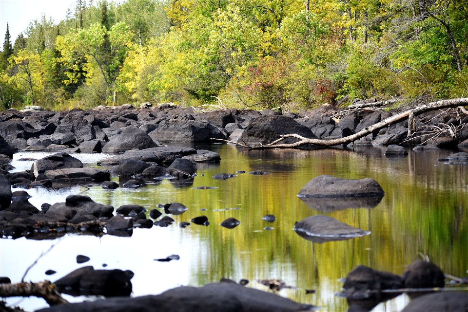 Saint Louis River