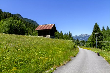 IMG_2883