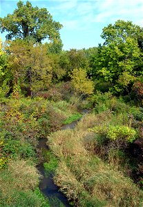 Trout Stream photo