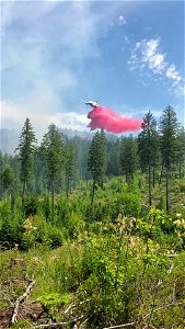 Litte Pine Fire photo