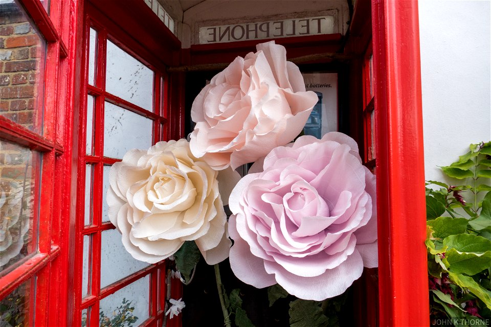 The Telephone Kiosk at Boxley Kent. I think there is a working telephone under the flowers?