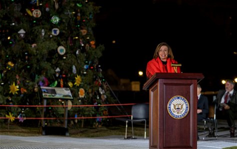 CapitolXmasTreeLighting-WashingtonDC-036 photo