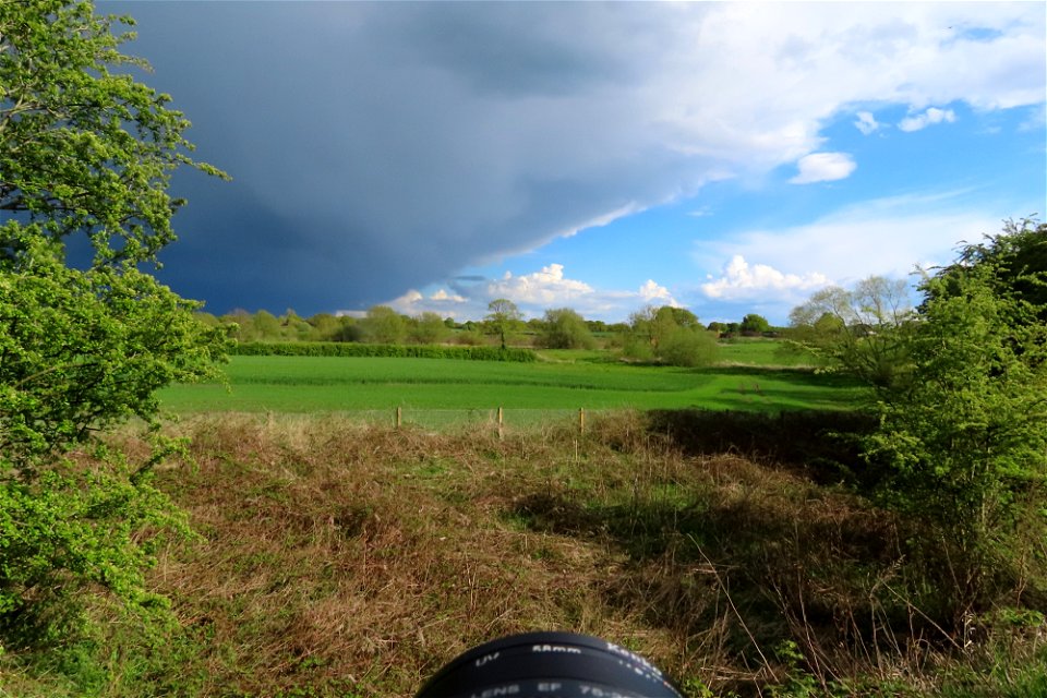 Black and Blue Sky
