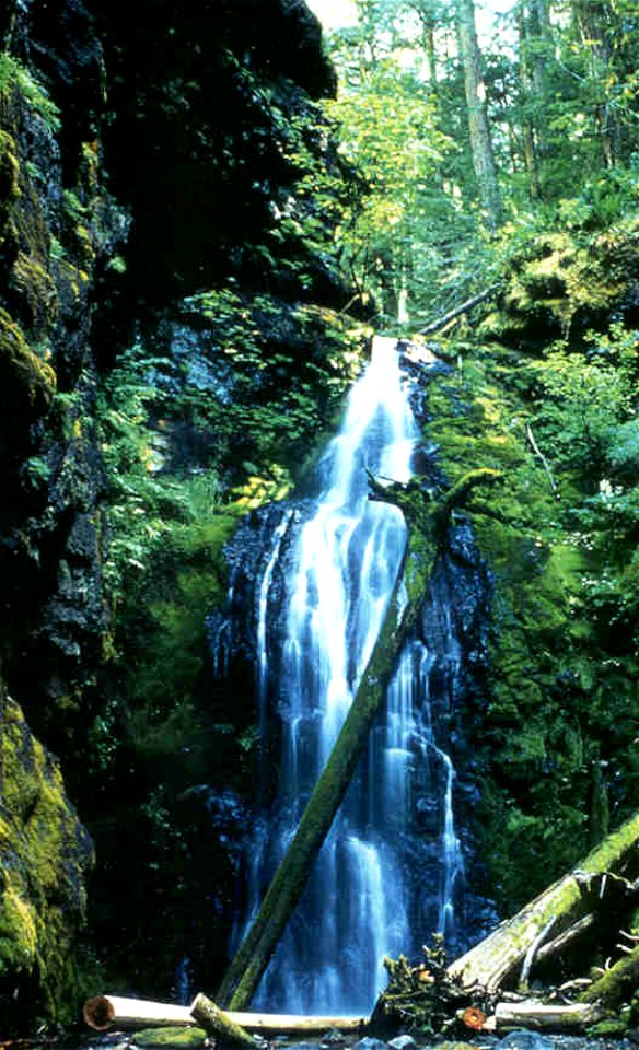 trestlefallsjpg_49363963768_o