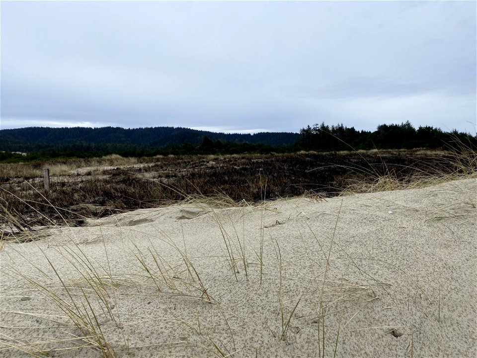 Siuslaw Oregon Dunes Prescribed Burn 2022