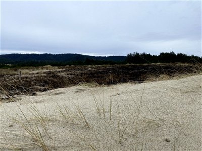 Siuslaw Oregon Dunes Prescribed Burn 2022 photo