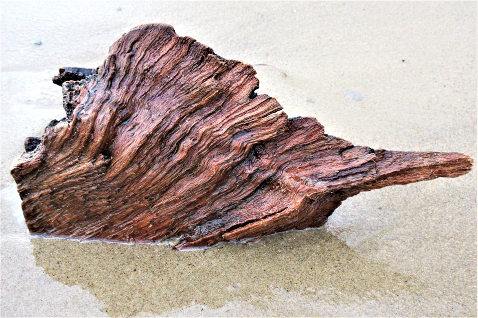 wood layers