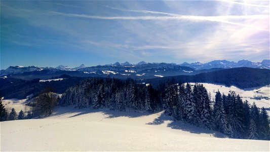 IMG_20220212_122401
