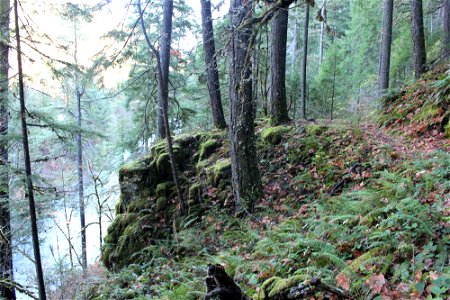 img_2090_trail10_looking-east-at-rock-bluffjpg_49364505781_o
