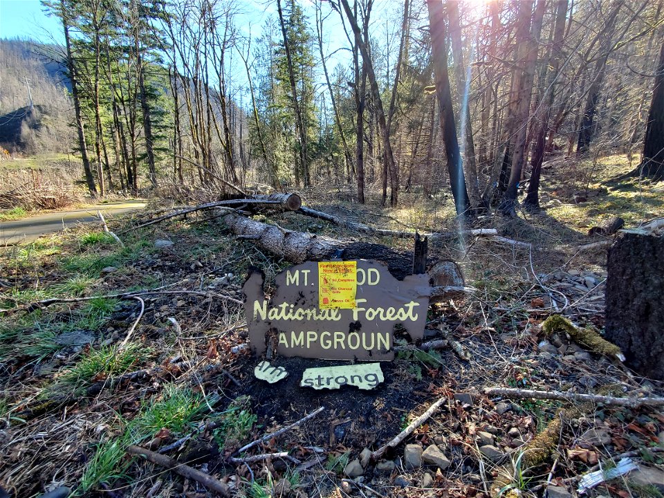 Armstrong Campground post-fire, Mt. Hood National Forest
