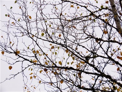 20211012-FS-Superior-SAR-011