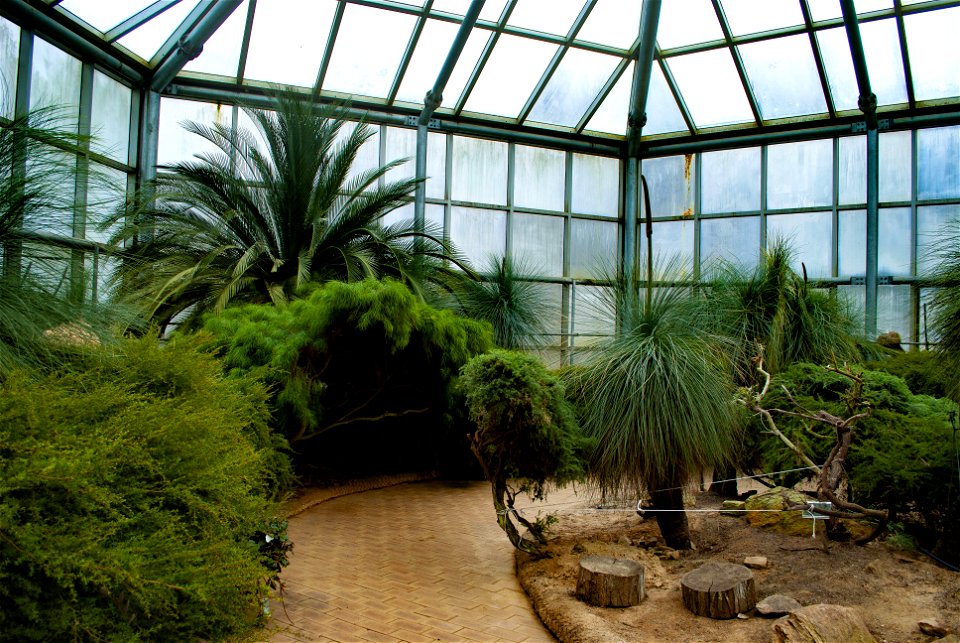 Hantaek Botanical Garden
