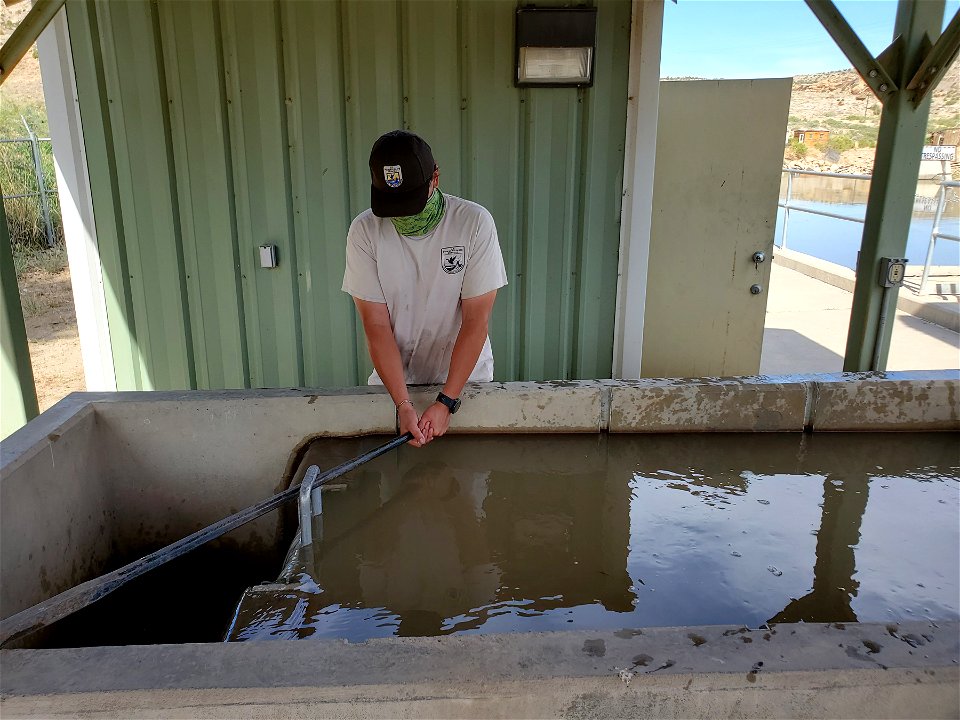 Releasing Fish Through a Fish Passage