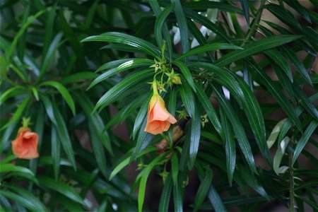 ZZIMG_8382