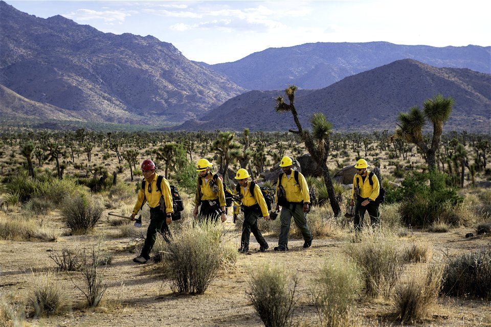 Wildland fire crew patrolling near Quail Mountain